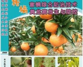 歐甘種植技術(shù)柑橘篇_庫蒂尼奧接近加盟切爾西