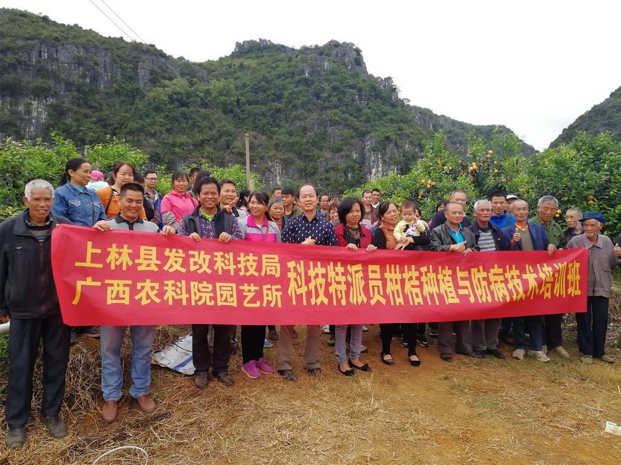 如何申請柑橘新品種專利_虎牙心態(tài)曲播模擬張大仙發(fā)型